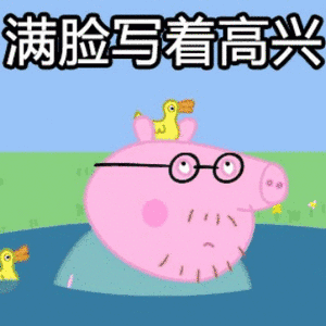 ����д�ű�������