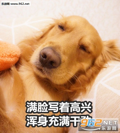 ����д�ű�������