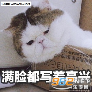 ����д�ű�������