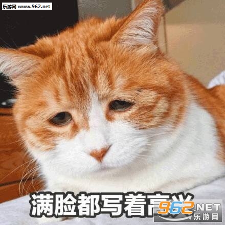 ����д�ű�������