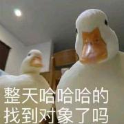 �����ݻ�����