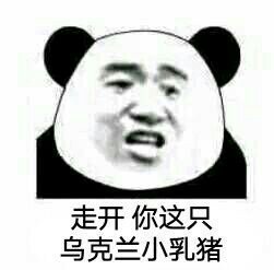 这种情况下我只能哦了表情包 这种情况下我只能哦了表情包
