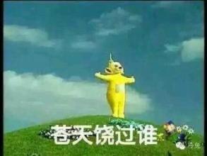 ���ʲ����Ĺ�˭�����