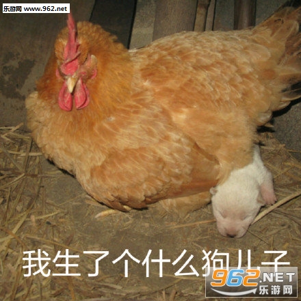 ��úÿ�������˭�����