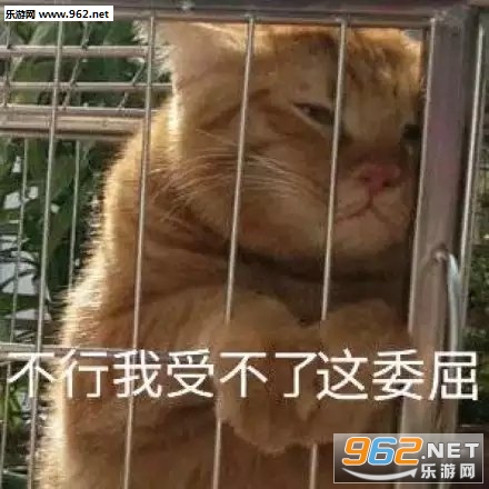 �������һ����һ��ɵ�����
