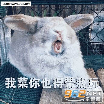 ��ȥ���������˲˱Ʊ����