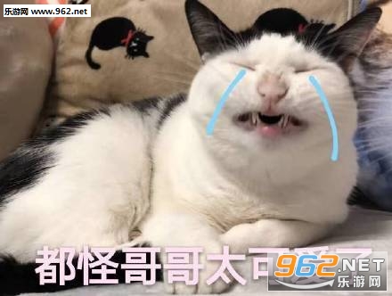 别动现在放的是我老公的歌表情包 别动现在放的是我老公的歌表情包