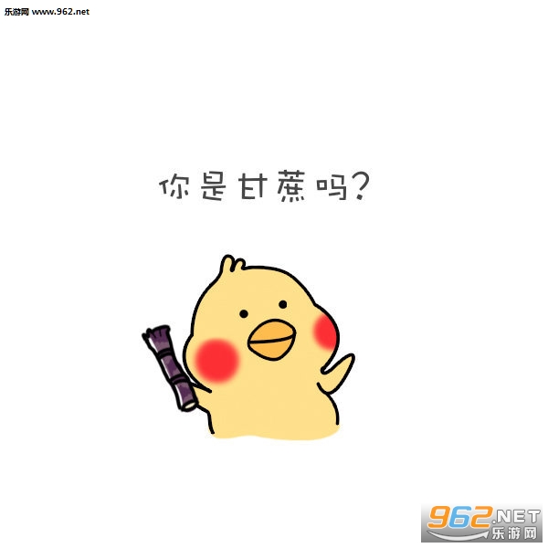 ���Ǹ�����ʲô��˼�����