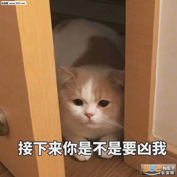�Ҳ�֪����Ҳ������è������