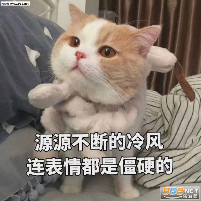 �Ҳ�֪����Ҳ������è������