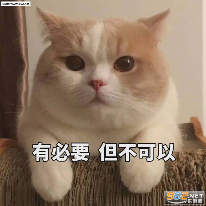 �Ҳ�֪����Ҳ������è������