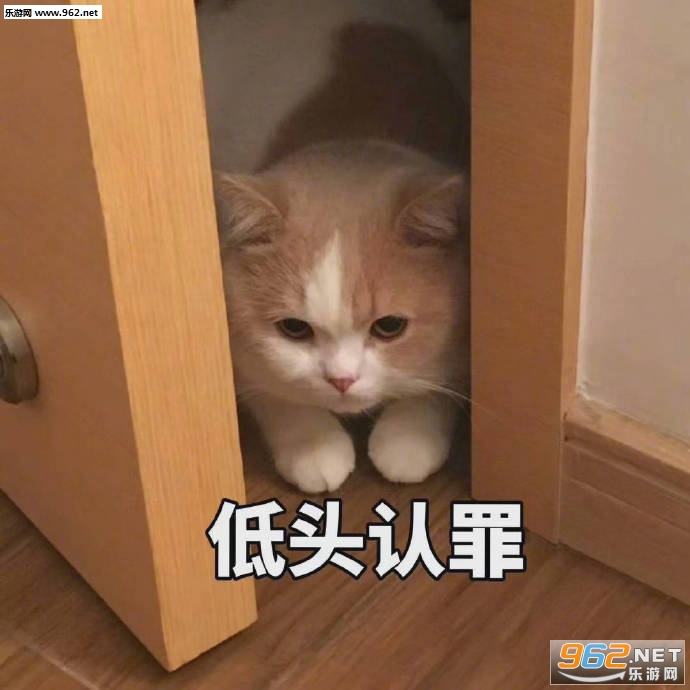 �Ҳ�֪����Ҳ������è������
