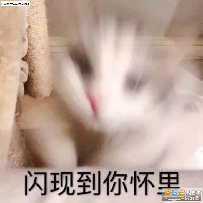 è��Ҫ���������