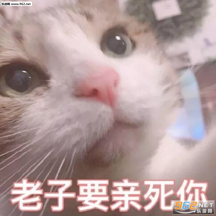è��Ҫ���������