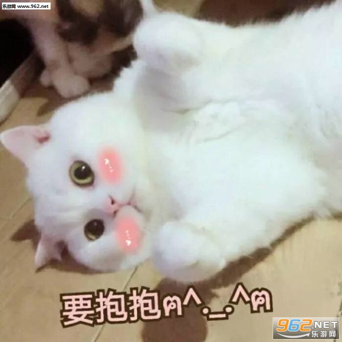 è��Ҫ���������