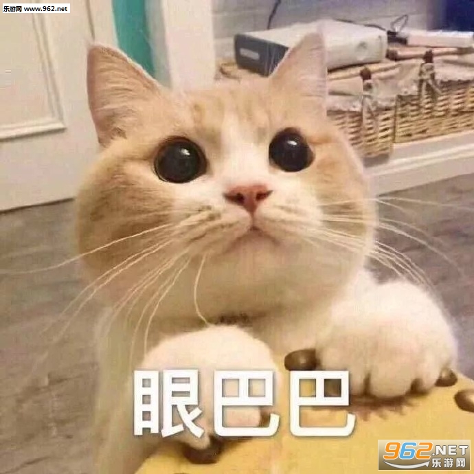 è��Ҫ���������
