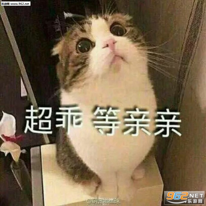 è��Ҫ���������