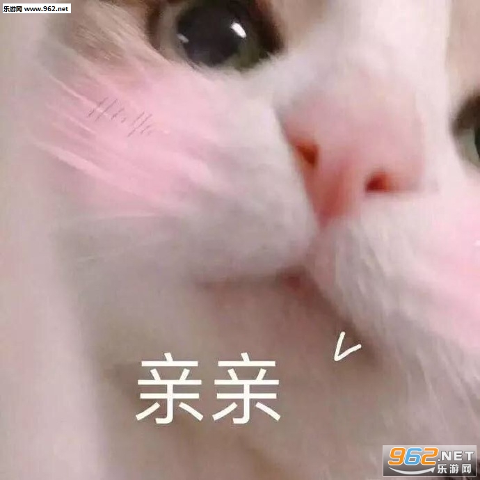 è��Ҫ���������