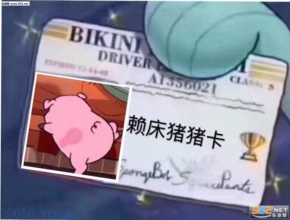 �ɴ��ǹھ��������