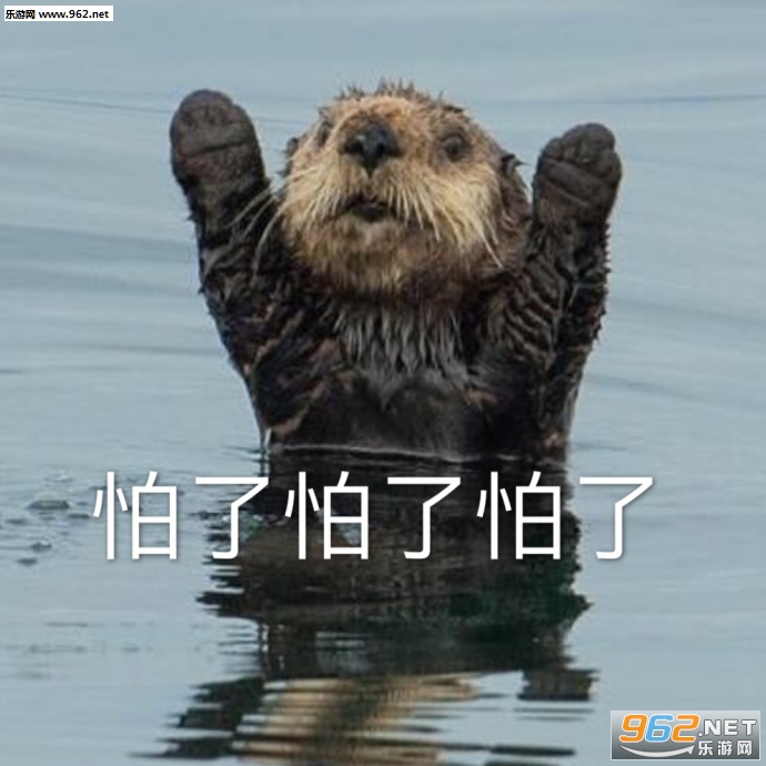 ����С��˯��ʱ�䵽�˱����