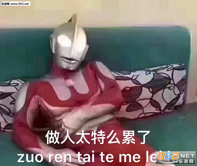 ����Ҫ����������Ҫ��è������