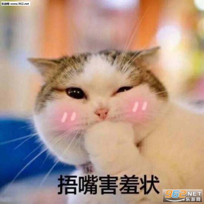 ����Ҫ����������Ҫ��è������