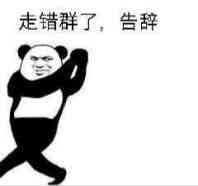 ����Ҫ����������Ҫ��è������