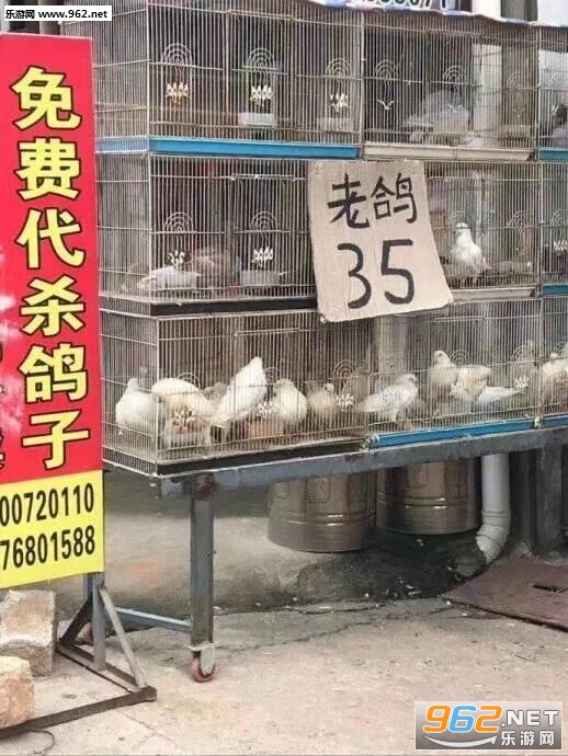 �����Լ������ޱ����