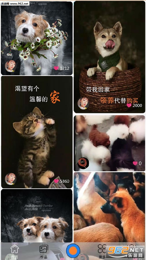 �����Ƴ谲׿��