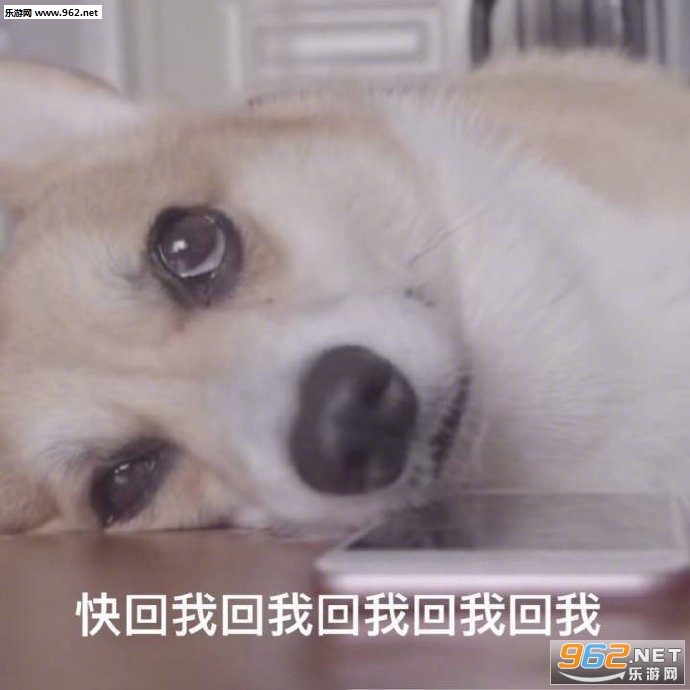 �򹷱������ͼ1