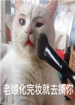 ���Լ����������ѱ����