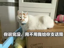 ����Ԫ��������è��������ͼ1