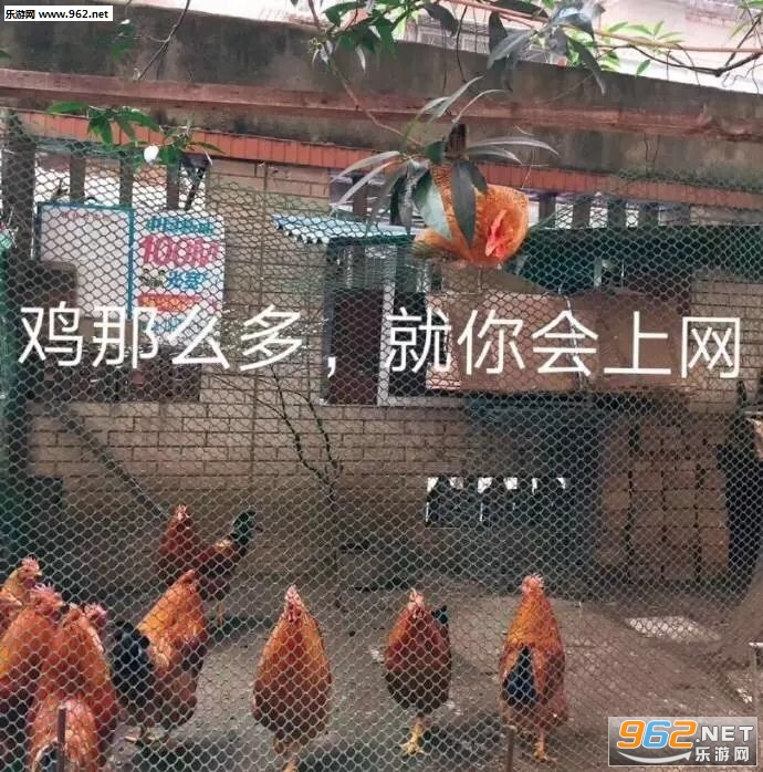 ������Ǯ���۲�׬�������ͼ2