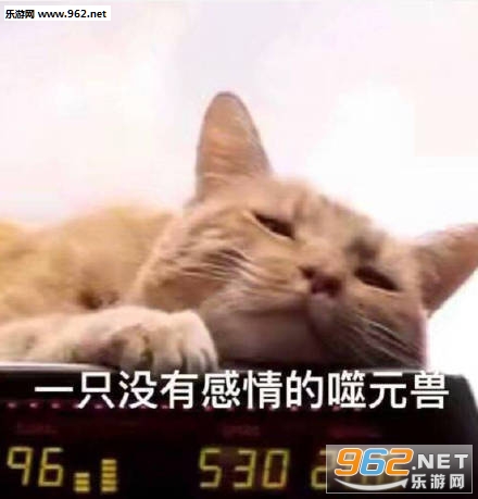 ��Ԫ�޶ӳ������ͼƬ��ͼ0