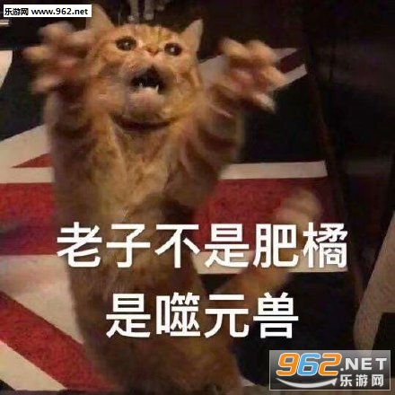 ��Ԫ�޶ӳ������ͼƬ��ͼ2