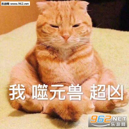 ��Ԫ�޶ӳ������ͼƬ��ͼ7