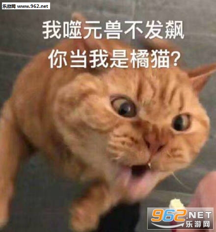 ��Ԫ�޶ӳ������ͼƬ��ͼ6