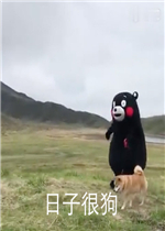 ͣ��Ϸ̫���˱����
