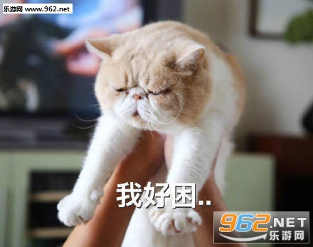 每天早起想睡觉的表情包截图0