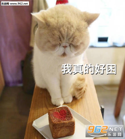 每天早起想睡觉的表情包截图1