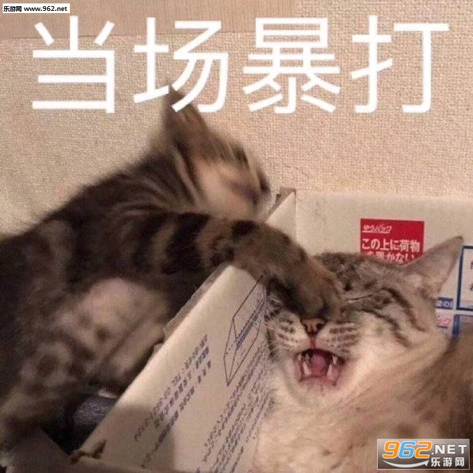 ��������������ͼ0