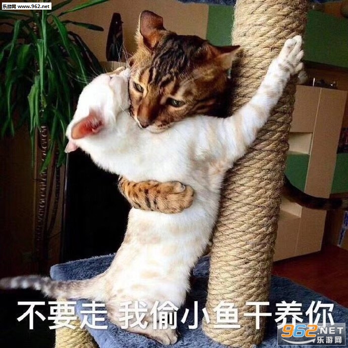 ��˵�˶���������ͼ3