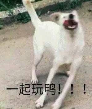 ��ʱһ��Ũü���۵�����·�����ӱ����