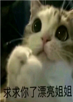 ��������Ư���������