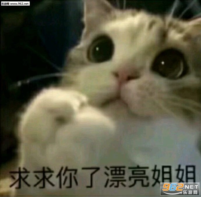 ��������Ư�����������ͼ0