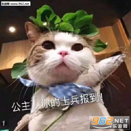 �ҵ������ܱ������ͼ0