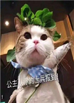 �ҵ������ܱ����