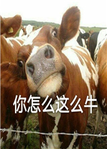 ����˭������ò�����Ů�˱����ͼƬ