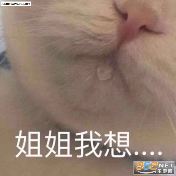 �����������ֻ��Ŷ�˱������ͼ2