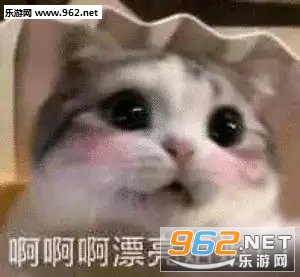 ûʲô���������˰������������ͼ2